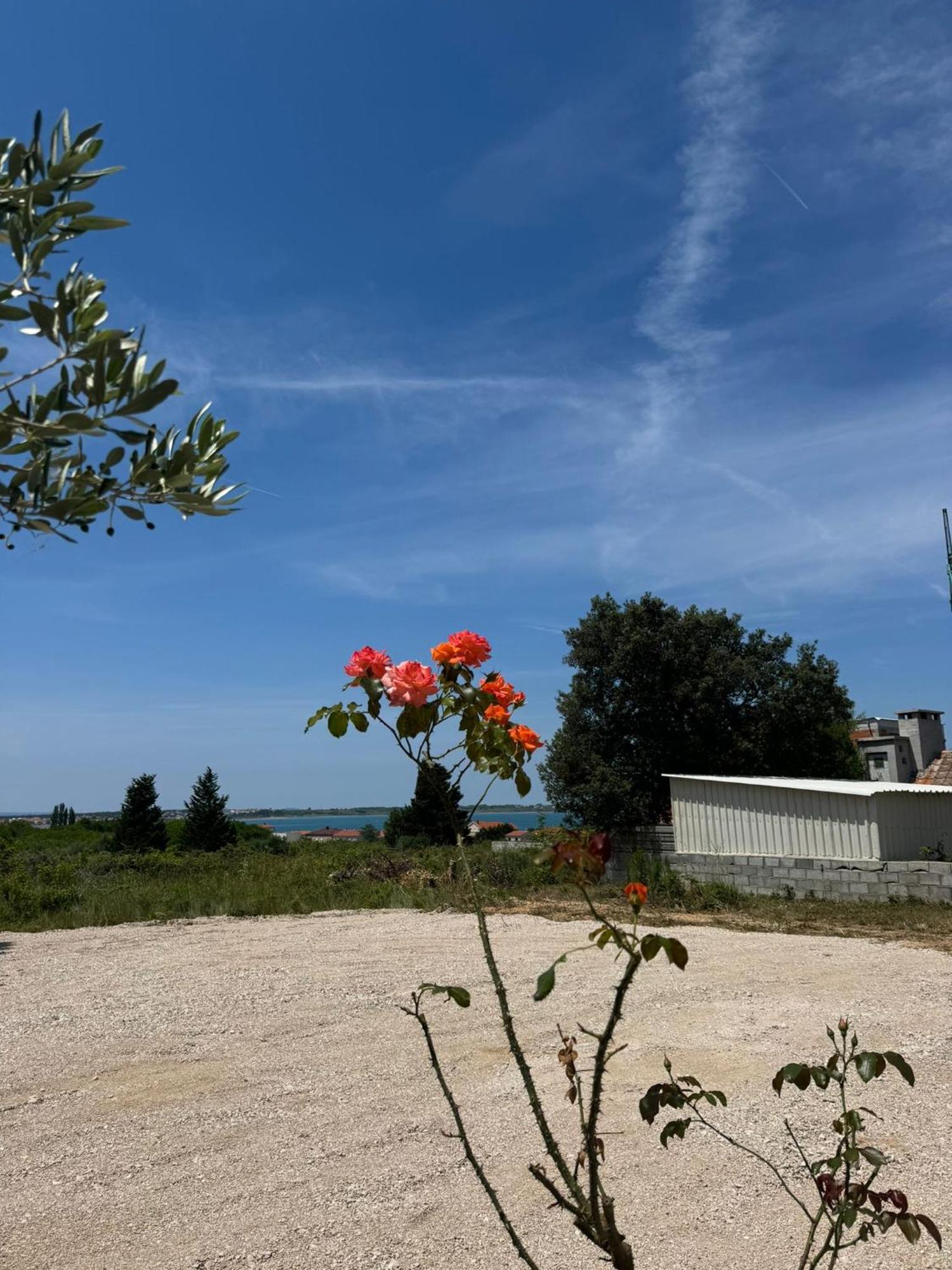 Apartments Bernarda 1 Hoek van Holland Ngoại thất bức ảnh